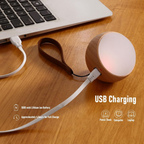 Hoomly Voice Control Wooden Hanging Night Light with Warm LED Glow & USB Charging